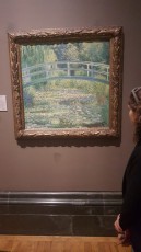 The Water-Lily Pond by Claude Monet in the National Gallery