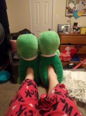 Your new turtle slippers!