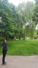 The willow trees in Munich were gorgeous