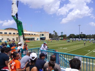 Dolphins Training Camp