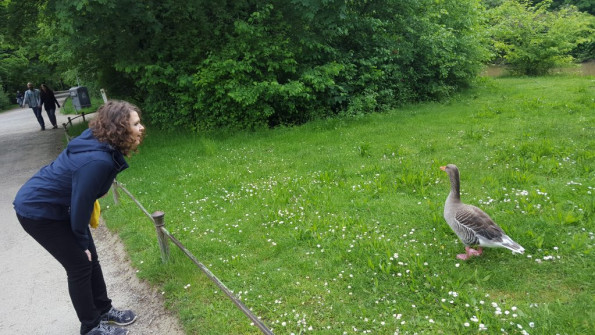 Kallie and the Duck