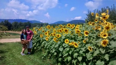 Taking pictures by Sunflowers