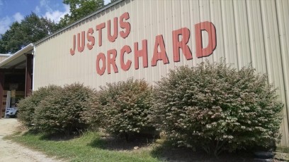 Justus Orchard