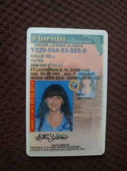 Kallie's Old Driver's License