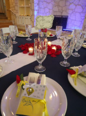 Beauty and the Beast Reception