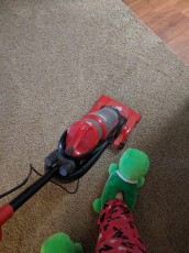 Turtle Vacuuming