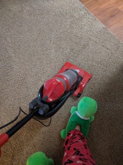 Turtle Vacuuming
