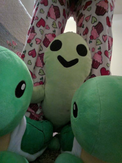 Turtle Family!