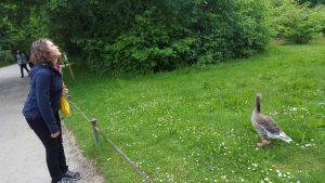 '2016-05-25 11:40:45'